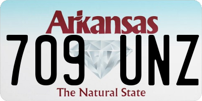 AR license plate 709UNZ