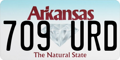 AR license plate 709URD