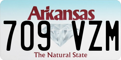AR license plate 709VZM