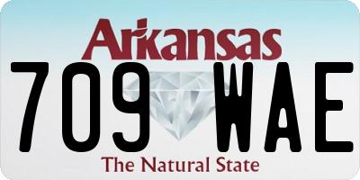 AR license plate 709WAE