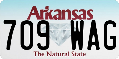 AR license plate 709WAG