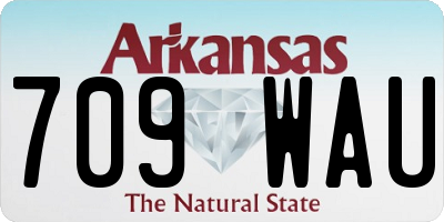 AR license plate 709WAU