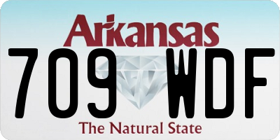AR license plate 709WDF