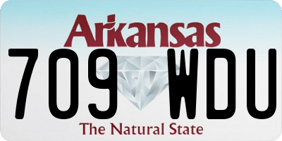AR license plate 709WDU