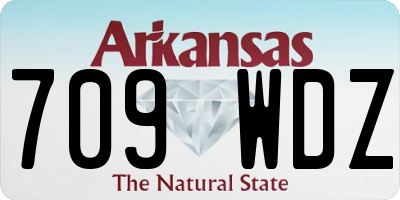 AR license plate 709WDZ
