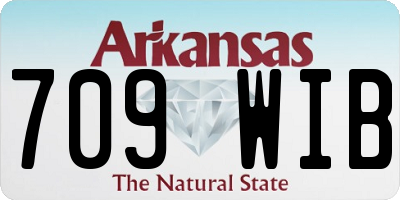 AR license plate 709WIB