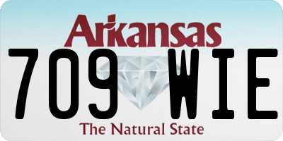 AR license plate 709WIE