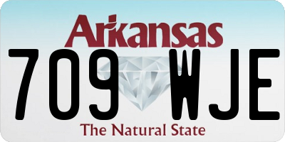 AR license plate 709WJE