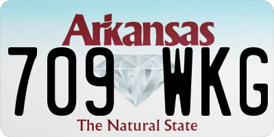 AR license plate 709WKG