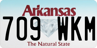 AR license plate 709WKM