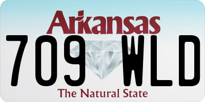 AR license plate 709WLD