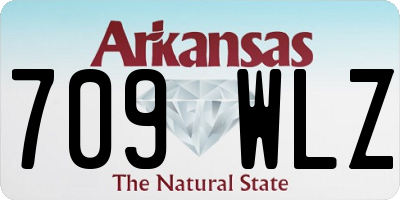 AR license plate 709WLZ
