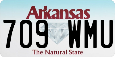 AR license plate 709WMU