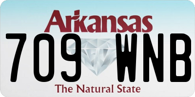 AR license plate 709WNB