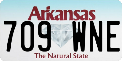 AR license plate 709WNE