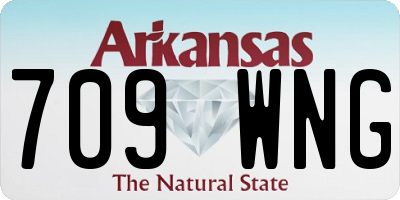 AR license plate 709WNG