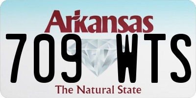 AR license plate 709WTS