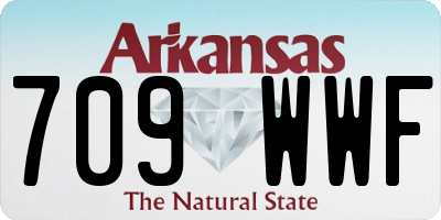 AR license plate 709WWF