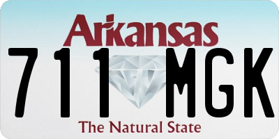 AR license plate 711MGK