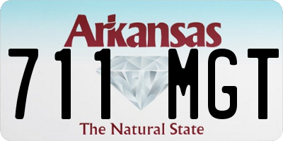 AR license plate 711MGT