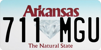 AR license plate 711MGU