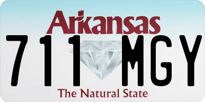 AR license plate 711MGY