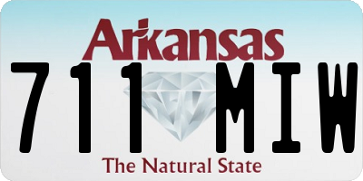 AR license plate 711MIW