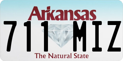 AR license plate 711MIZ