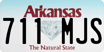 AR license plate 711MJS