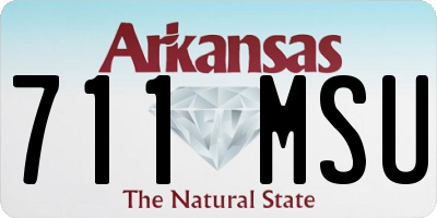 AR license plate 711MSU