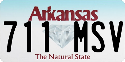 AR license plate 711MSV