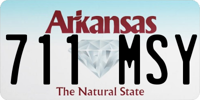 AR license plate 711MSY