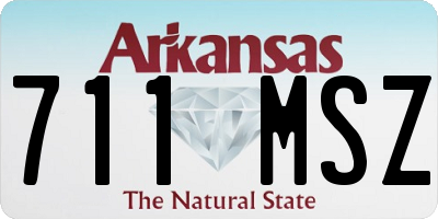 AR license plate 711MSZ