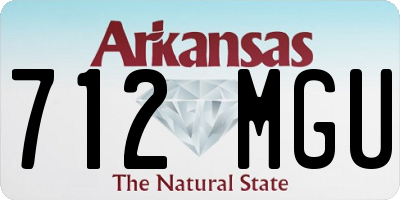 AR license plate 712MGU