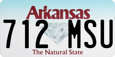 AR license plate 712MSU