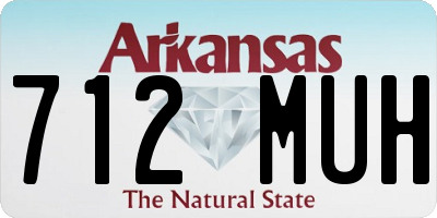 AR license plate 712MUH