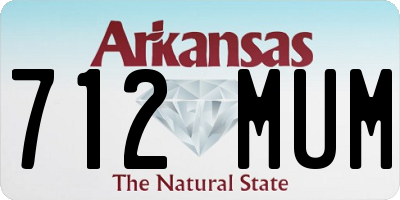 AR license plate 712MUM