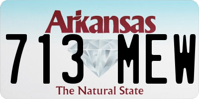AR license plate 713MEW