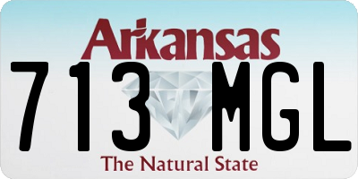 AR license plate 713MGL