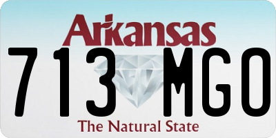 AR license plate 713MGO