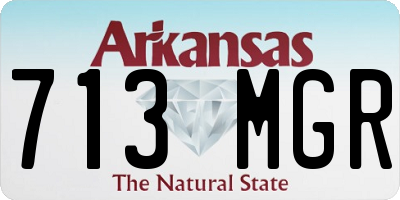 AR license plate 713MGR