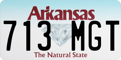 AR license plate 713MGT
