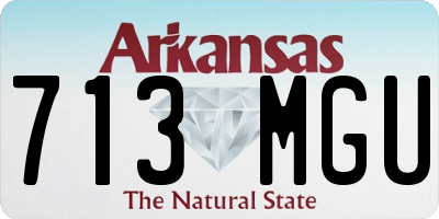 AR license plate 713MGU