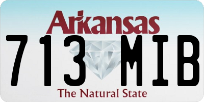AR license plate 713MIB
