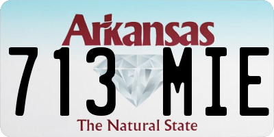AR license plate 713MIE