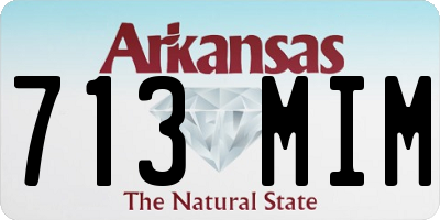 AR license plate 713MIM