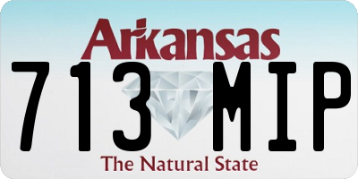 AR license plate 713MIP