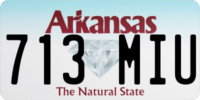 AR license plate 713MIU