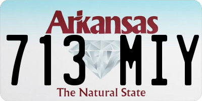 AR license plate 713MIY