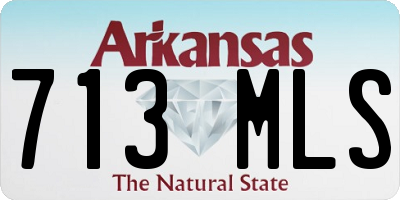 AR license plate 713MLS